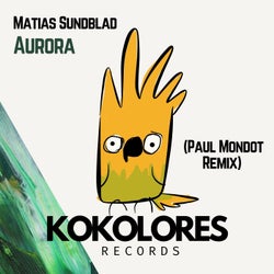 Aurora (Paul Mondot Remix)