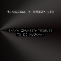 Shaya Inumber (Tribute to Dj Mujava)