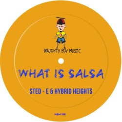 What Is Salsa