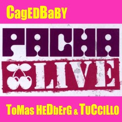 Pacha Live - Tuccillo & Tomas Hedberg