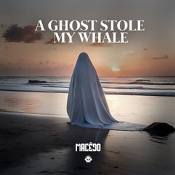 A Ghost Stole My Whale