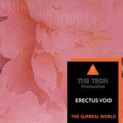 The Surreal World