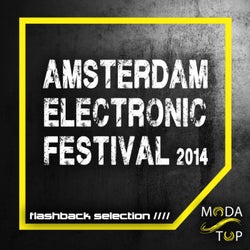 Amsterdam Electronic Festival 2014 - Flashback Selection