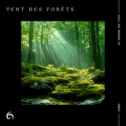 Cycle Des Miroirs