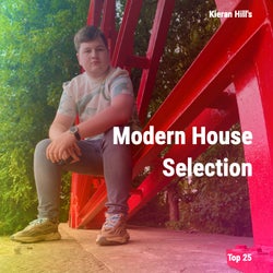 Modern House Selection