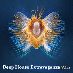Deep House Extravaganza, Vol.13