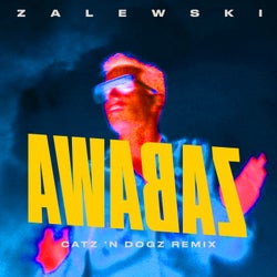 Zabawa - Catz 'n Dogz Remix