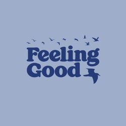 Feeling Good (feat. Lakyn)