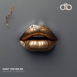Can't You See Me