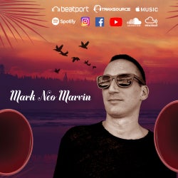 MY HOUSE CHARTS 046 BY MARK NEO MARVIN