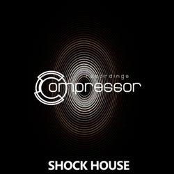 Shock House