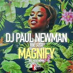 Magnify (Neil Pierce Remix)