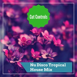 Nu Disco Mixes Chart