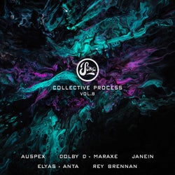 Collective Process Vol. 8