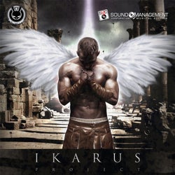 Ikarus Project