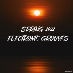 Spring 2022 Electronic Grooves