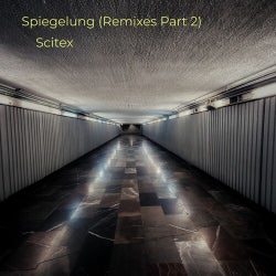 Spiegelung (Remixes, Pt. 2)