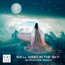 We'll Meet in the Sky (M.Pravda Remix)