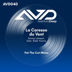 La Caresse du Vent (feat. Kate Yvorra) [Pat The Cat Mixes]