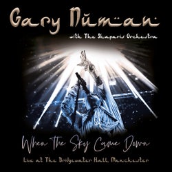 When the Sky Came Down (Live at The Bridgewater Hall, Manchester)
