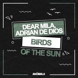 Birds of the Sun (Extended Mix)