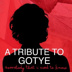 A Tribute to Gotye