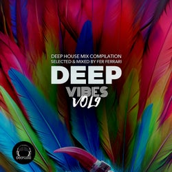 Deep Vibes, Vol.9