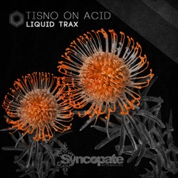 Tisno On Acid