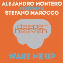 Wake Me Up