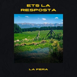 Ets la Resposta