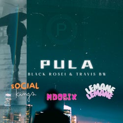 Pula (feat. Social Kings, Lemane Lemane, Mdogix) & Mdogix