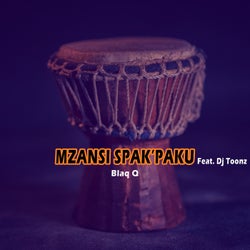 Mzansi Spak'paku (feat. Dj Toonz)