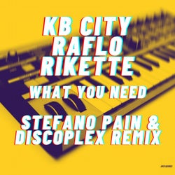 What you need (Stefano Pain & Discoplex Remix)