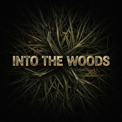 Into The Woods (Afro Tech)