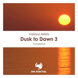 Dusk to Dawn 3