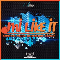 Mi Like It (feat. Johnny500, Protek & Julian Alaino) - Single