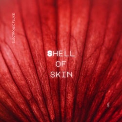Shell of Skin