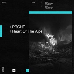 Heart of the Alps (Swiss Yodel)