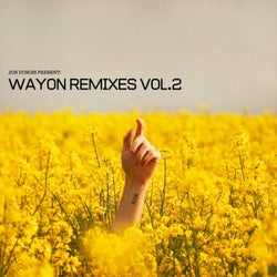 WayOn Remixes, Vol. 2