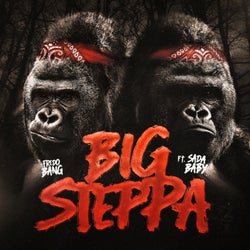 Big Steppa