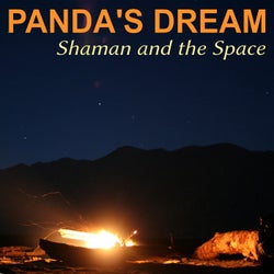 Shaman and the Space