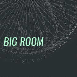 Biggest Basslines: Big Room