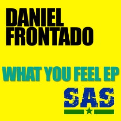 What You Feel EP