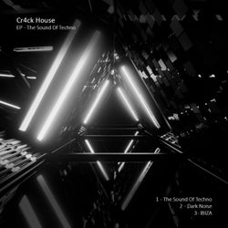 The Sound Of Techno EP