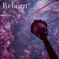 Reborn