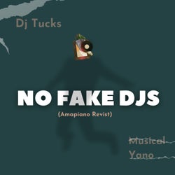 No Fake DJs (Amapiano Revisit)