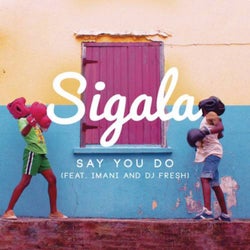 Say You Do (Radio Edit)
