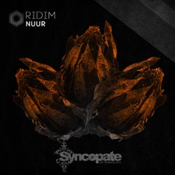 Ridim
