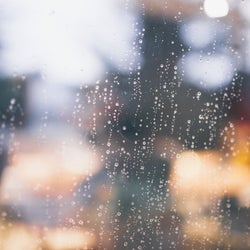 Liquid Silence