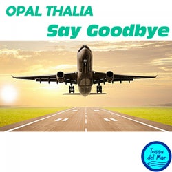 Say Goodbye (Chillout Mix)